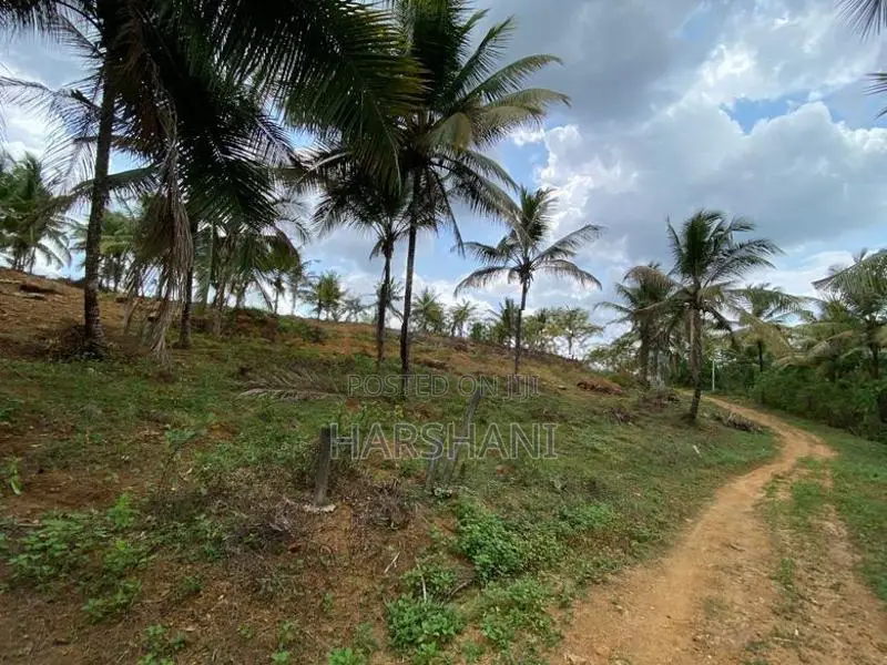 15P High Elevated land at ASP estate Halpe Road, paduka