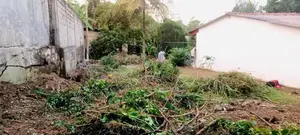 Land for Sale in Makola