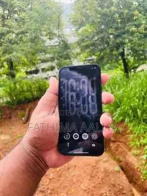 Apple iPhone 12 (Used)