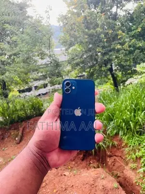 Apple iPhone 12 (Used)