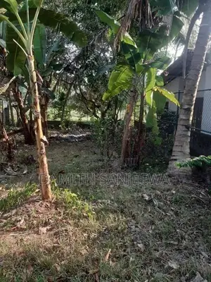 ඉඩමක් විකිනීමට - ගනේමුල්ල