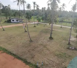 වාරියපොළ නගරයෙන්ම සින්නක්කර බිම්කොටස් විකිණීමට