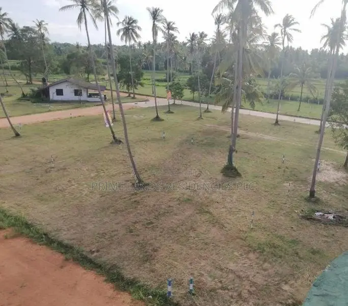 වාරියපොළ නගරයෙන්ම සින්නක්කර බිම්කොටස් විකිණීමට