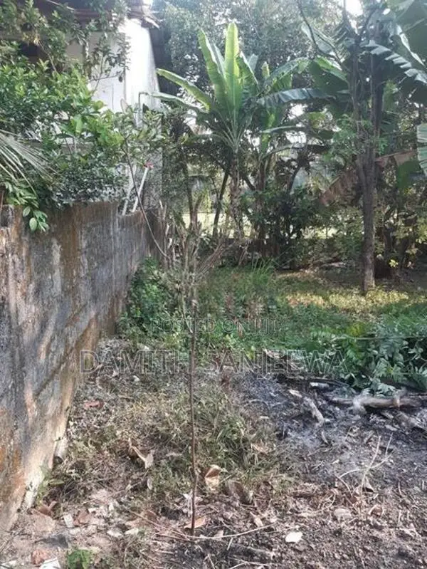 ඉඩමක් විකිනීමට - ගනේමුල්ල
