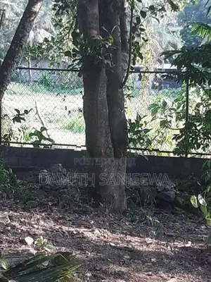 ඉඩමක් විකිනීමට - ගනේමුල්ල
