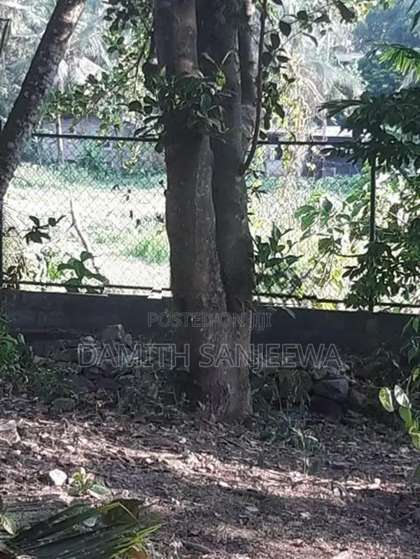 ඉඩමක් විකිනීමට - ගනේමුල්ල