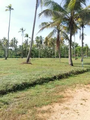 වාරියපොළ නගරයෙන්ම සින්නක්කර බිම්කොටස් විකිණීමට
