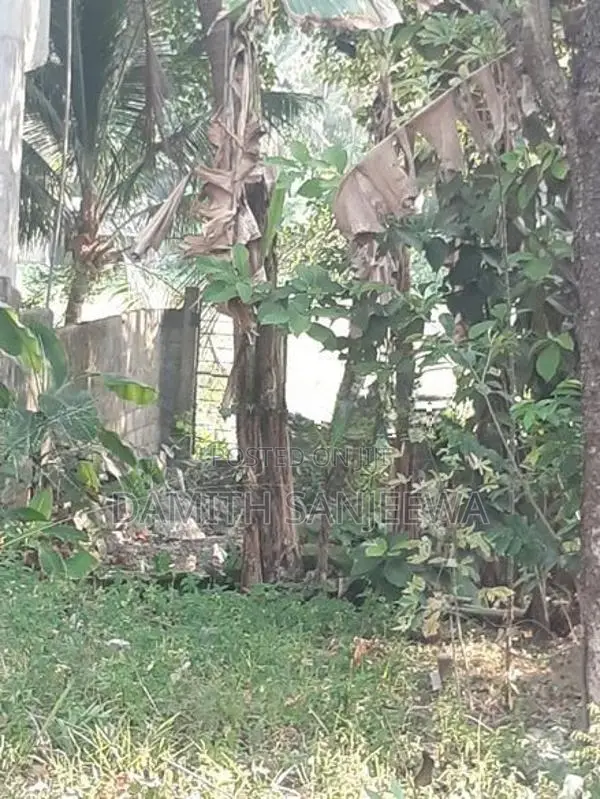 ඉඩමක් විකිනීමට - ගනේමුල්ල