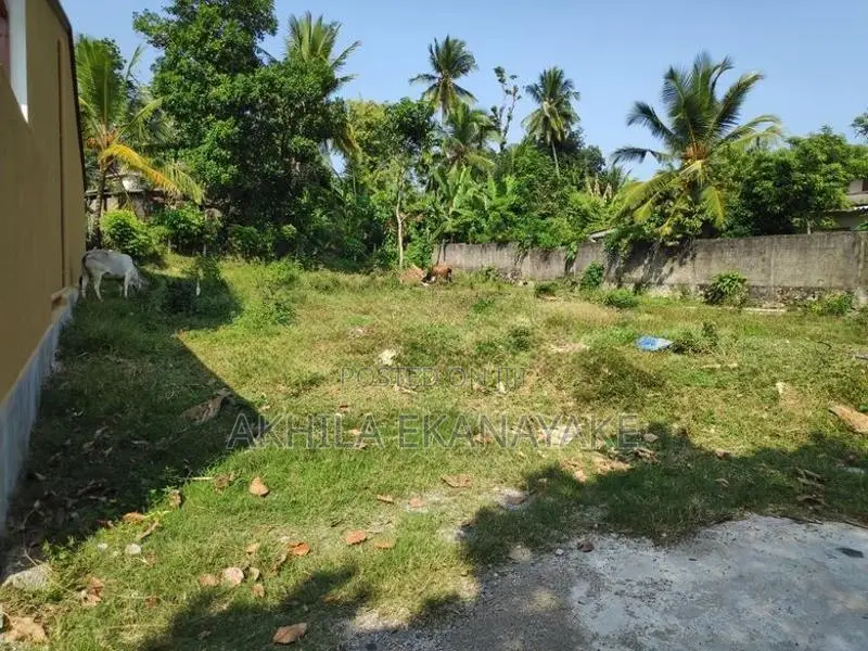 Thalawathugoda 8 Perch Land for Sale