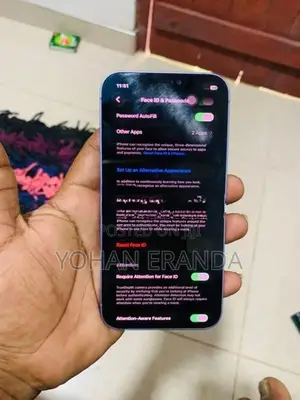Apple iPhone 12 (Used)