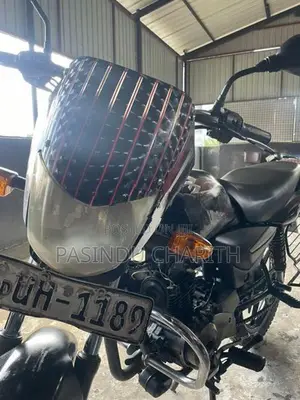 Bajaj Platina 2010