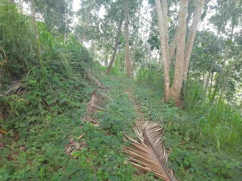 Land For Sale in Mawanella – Hingula (Ganethenna / Molligoda)(SSPL-301