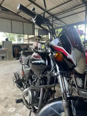 Bajaj Platina 2010