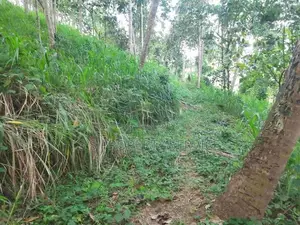 Land For Sale in Mawanella – Hingula (Ganethenna / Molligoda)(SSPL-301