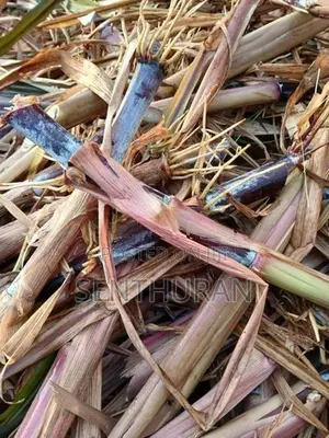 புல்லு கட்டை