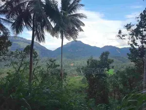 Land For Sale in Mawanella – Hingula (Ganethenna / Molligoda)(SSPL-301