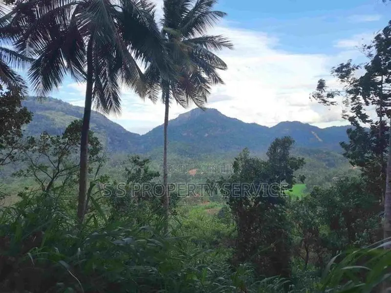 Land For Sale in Mawanella – Hingula (Ganethenna / Molligoda)(SSPL-301