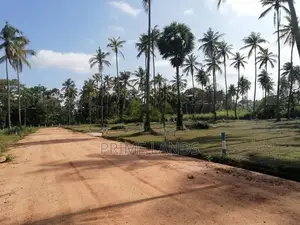 වාරියපොල නගරයෙන්ම නේවාසික කලාපයෙන් අගනා ඉඩමක්