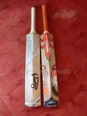 Cricket Set