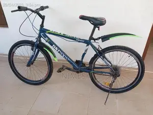 DSI Bicycle