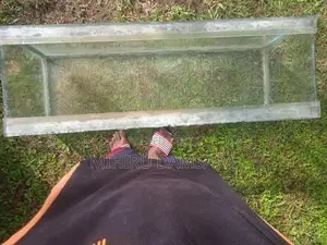 Fish Tank