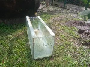 Fish Tank
