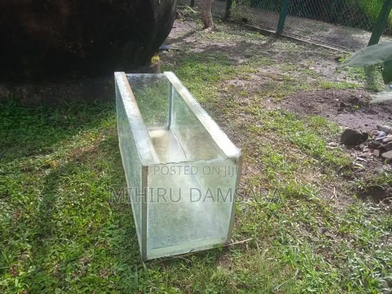 Fish Tank