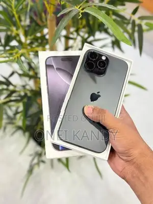 Apple iPhone 16 Pro Max 256GB (Used)