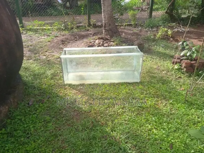 Fish Tank