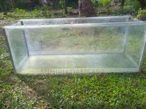 Fish Tank