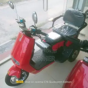 Xindi 3 Wheeler 2023