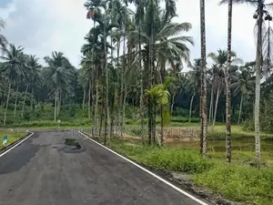 Coconut Land for Sale in Homagama