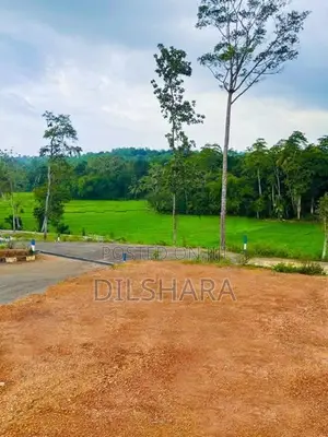 මාතර වෙලක් අසලින් පදිංචියට හොඳම ඉඩමක් විකිණීමට