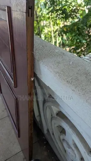 Jack Fruit Door