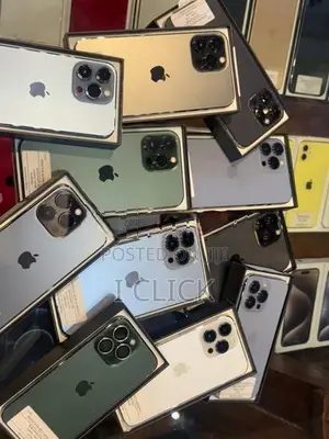 Apple iPhone 13 Pro Max 256GB (Used)