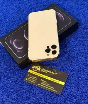 Apple iPhone 12 Pro 256GB (Used)