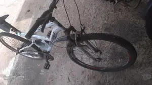 Tomahawk Bicycle