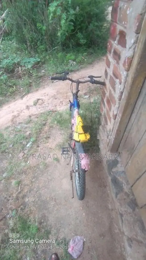 Bicycle