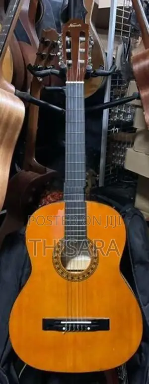 Japan Used Guitar