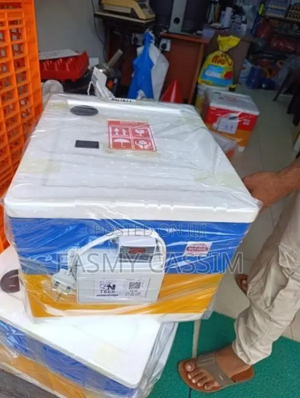 30 Eggs Automatic Incubator
