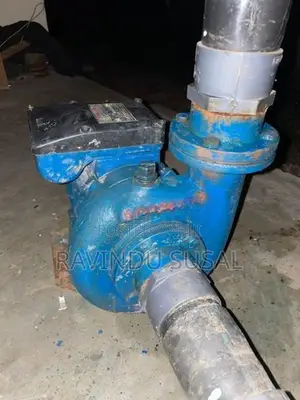 Singer 2 HP Water Pump