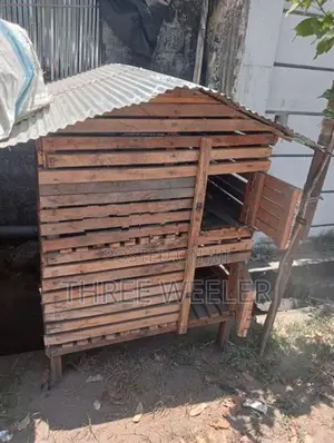 Chicken Cage