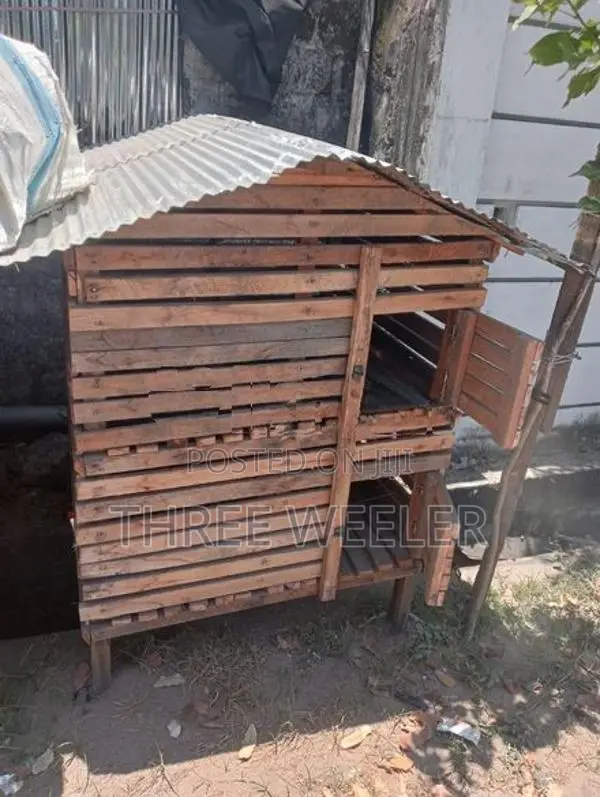 Chicken Cage