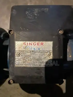 Singer 2 HP Water Pump