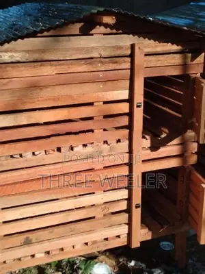 Chicken Cage