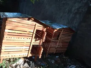 Chicken Cage