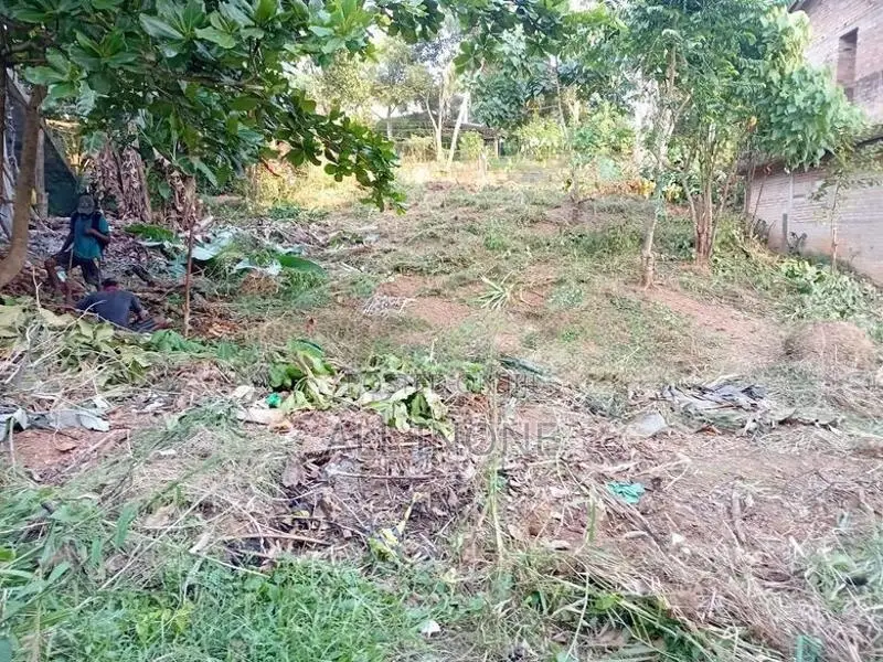 කිරිමැටිමුල්ල ඉඩමක් විකිනීමට ඇත