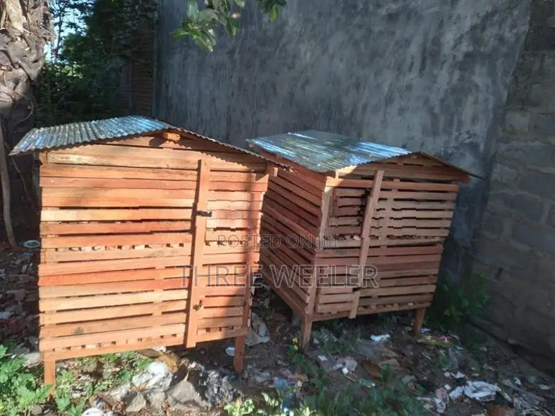 Chicken Cage
