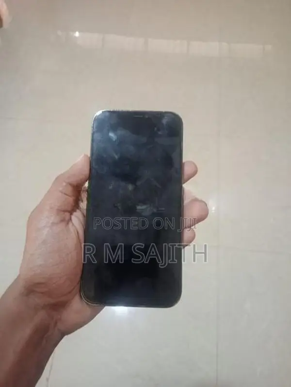 Apple iPhone 12 Pro Max (Used)