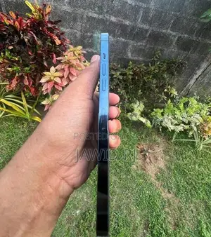 Apple iPhone 12 Pro Max (Used)